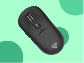 maus