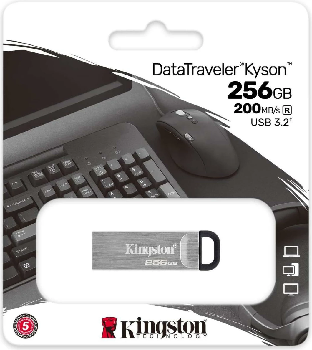 USB Kingston DataTraveler Kyson 256GB, USB 3.2, argjendtë