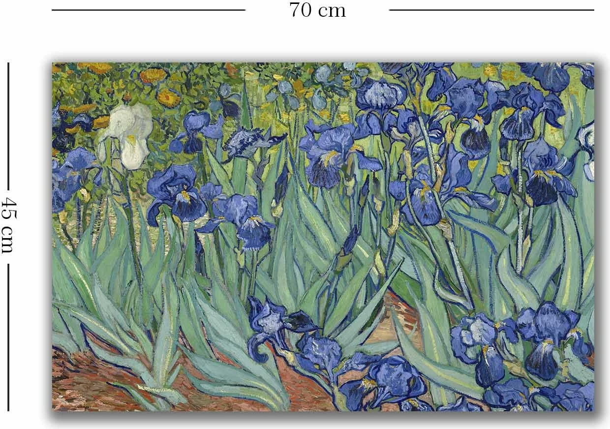 Pikturë dekorative në kanavacë, Van Gogh, shumëngjyrëshe, 45x70cm