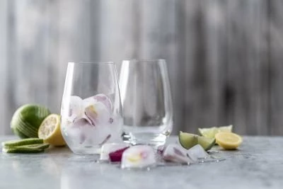 Gotë tumbler LSA Forté SH-123931 557 ml, set 4 copë, transparente