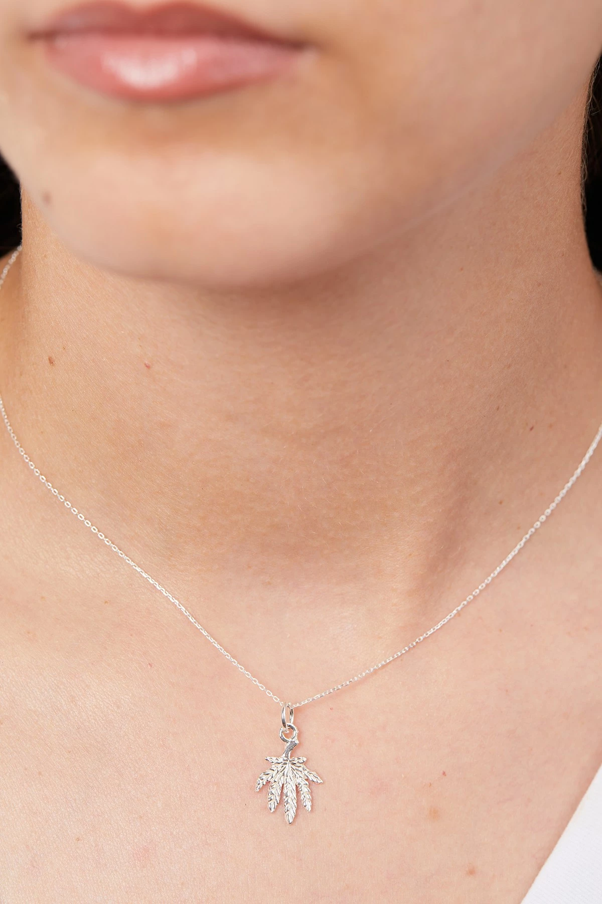 Varëse argjendi, Elika Silver, ELKMD50548