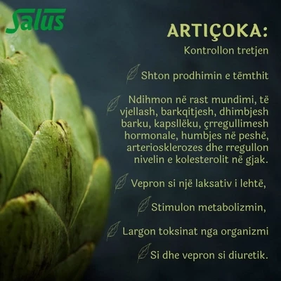 Salus - ARTIÇOKA, 200 ml - Lëng bimor për tretje të shëndetshme