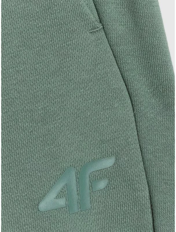 Pantallona sportive për meshkuj 4F 4FWAW25TTROM1272-41S