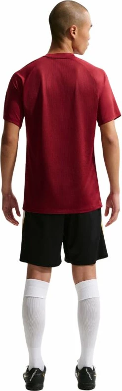 Maicë për meshkuj Nike, burgundy