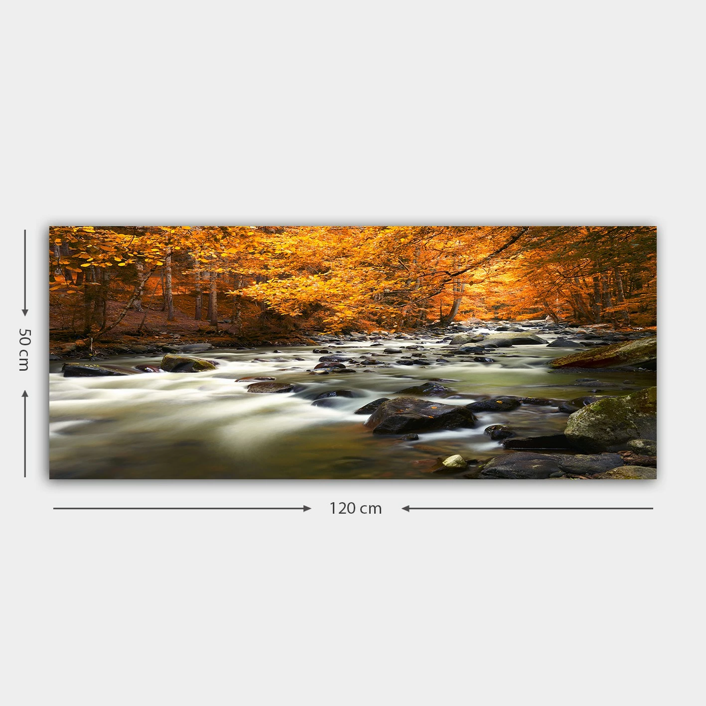Pikturë dekorative në kanavacë, Wallity, YTY110245898_50120, shumëngjyrëshe, 50x120cm