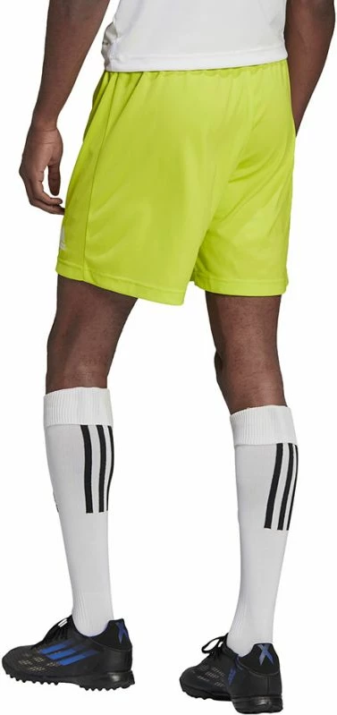Shorce për meshkuj adidas Entrada 22, të gjelbërta [Madhësia: M]