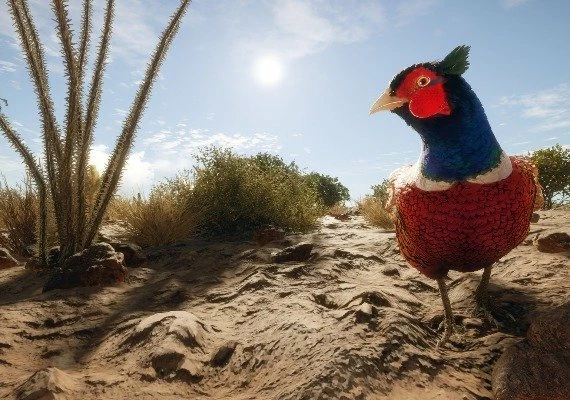 theHunter: Call of the Wild - Rancho del Arroyo DLC Global