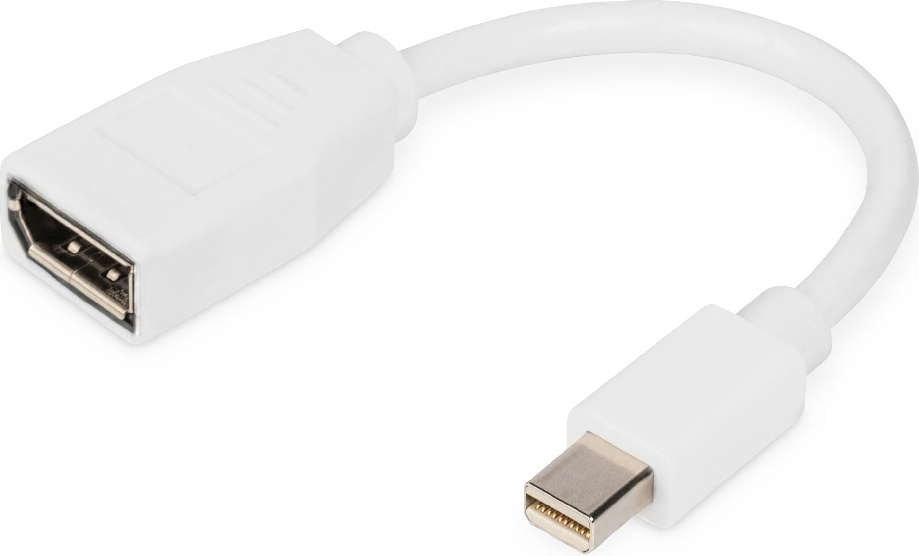 Adapter kabllo Digitus mini DisplayPort në DisplayPort, 0.15m, i bardhë