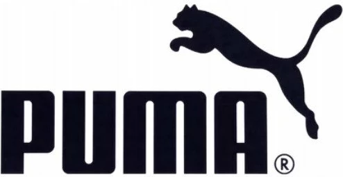 Patika futbolli për sallë Puma Ultra 5 Match IT nr.46, jeshile