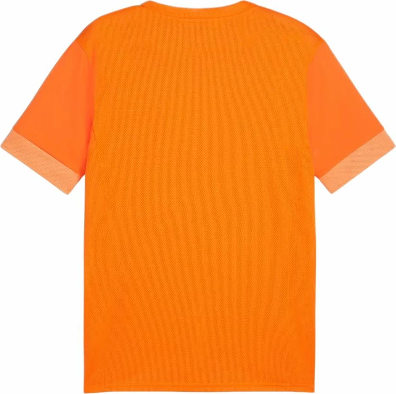 Fanellë futbolli për meshkuj Puma, portokalli