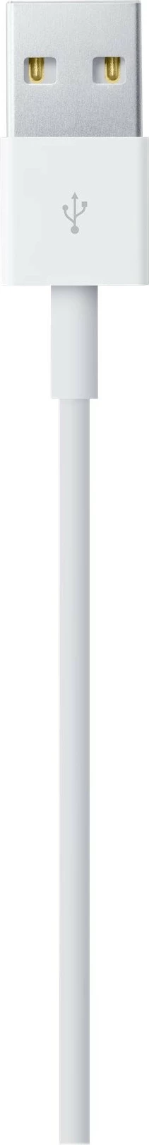 Apple Lightning cable - Lightning / USB - 1 m