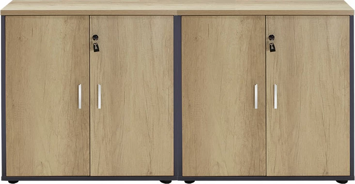 Dollap Lotus me 4 dyer, ngjyrë lisi-gri e errët, 160x40,5x80cm