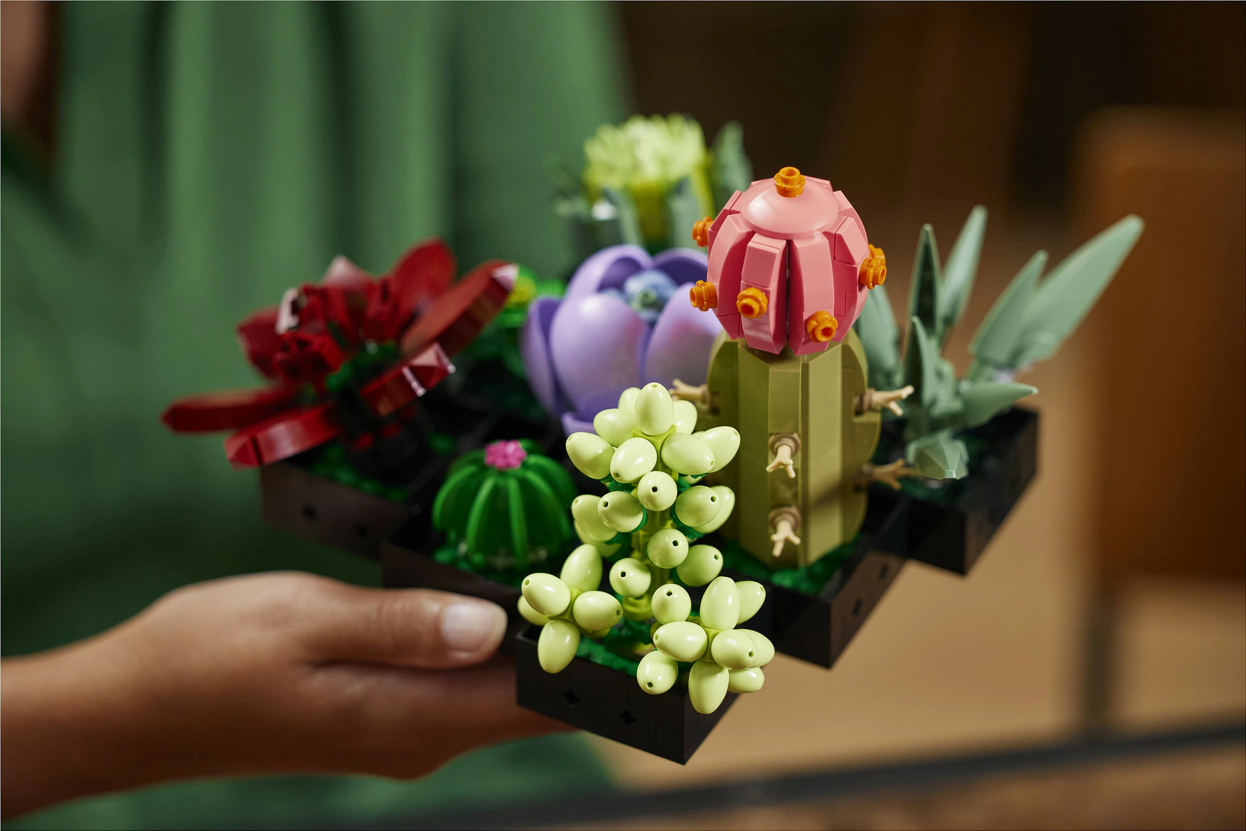 Set ndërtimi LEGO Botanicals Succulents 10309, 771 copë, 18+, multikolor