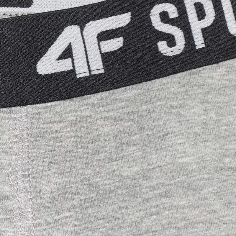 Të brendshme për djem 4F, multikolor