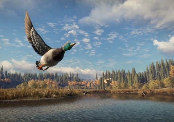 theHunter: Call of the Wild - Emerald Coast Cosmetic Pack DLC EN Global