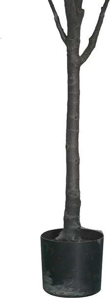 Bimë dekorative Mangola I në vazo, e bardhë, pp, H155cm