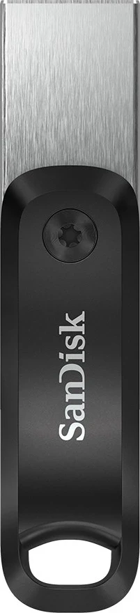USB Flash SanDisk 256GB, Gri dhe Argjendtë