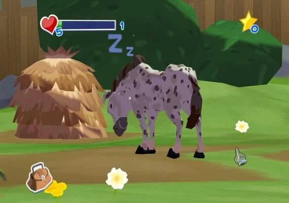 World of Zoo EN Global