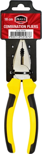 Dana Pinca 900587 Praxis