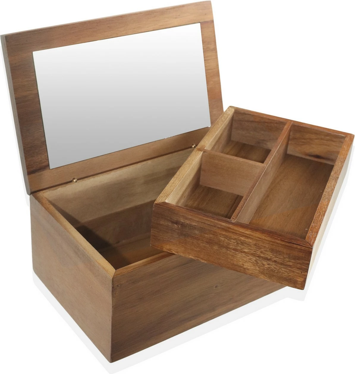 Organizues druri Hermia, NTR0031