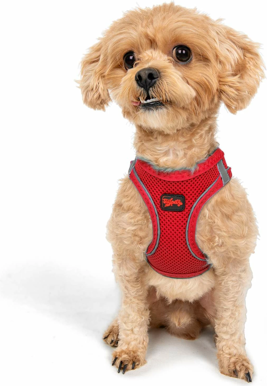 Parzmore për qen, Air-Mesh, ngjyrë garnet, Paws & Whiskers, XL