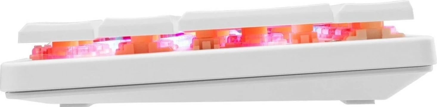 Tastierë gaming White Shark Nagamaki, 60%, red switch, RGB, e bardhë