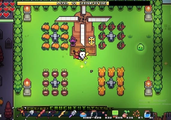 Forager Global