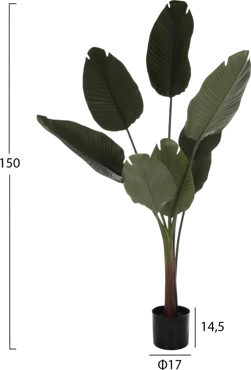 Bimë dekorative sintetike në vazo FH7982, Strelitziaceae, 150 cm, Φ17x14.5 cm