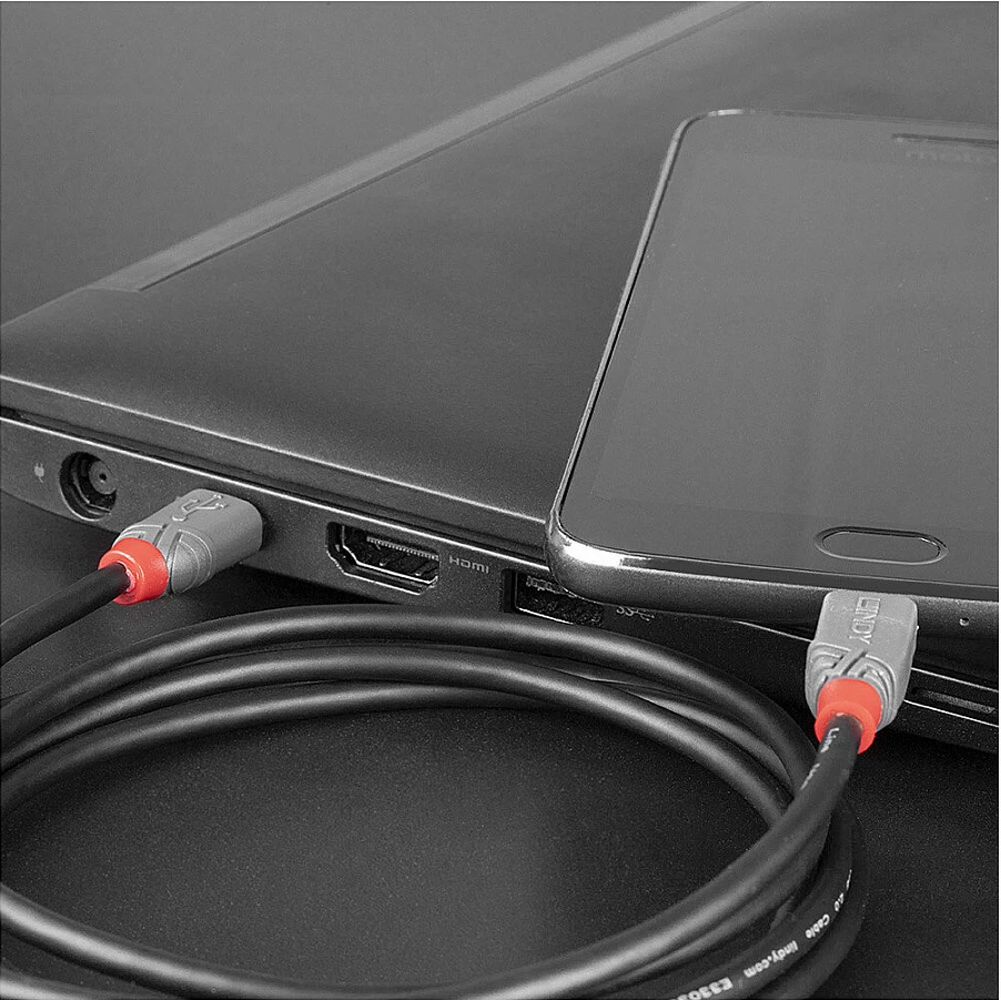 Kabllo USB 2.0 LINDY Anthra Line, USB-C në Micro-B, 2m, e zezë/gri