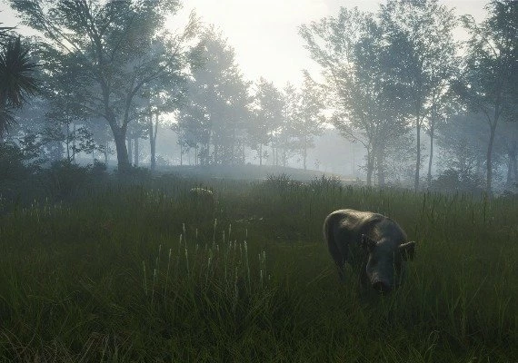 theHunter: Call of the Wild - Te Awaroa National Park DLC Global