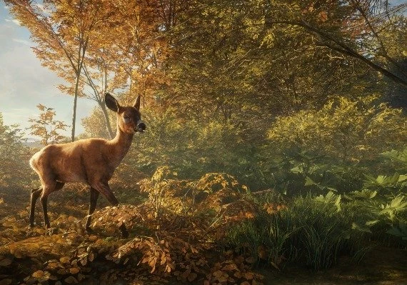 theHunter: Call of the Wild - Master Hunter Bundle EN Global