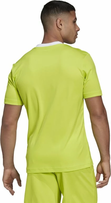 Maicë futbolli për meshkuj adidas, e gjelbër