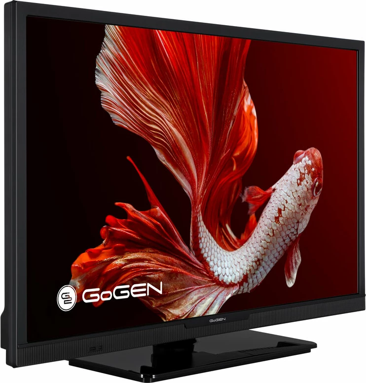 Televizor GoGEN Tv TVH 24P452T