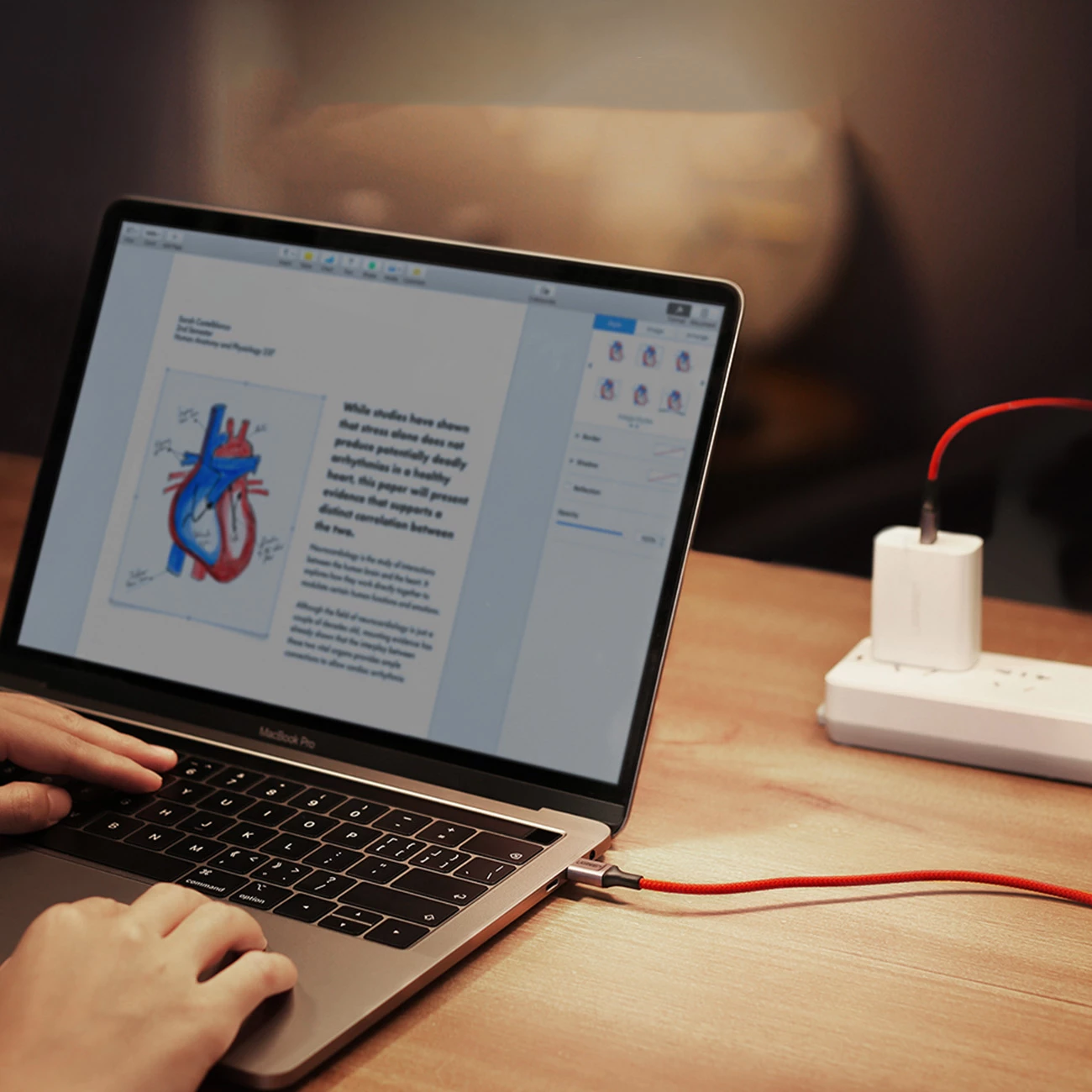 Kabllo USB-C në USB-C Ugreen US294, 1m, 3A, 480Mb/s, Kuqe