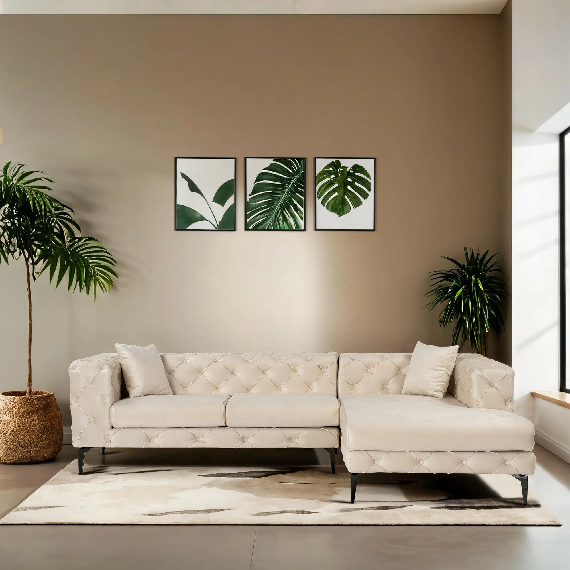 Këndare Atelier del Sofa Como Eco, e djathtë, bezhë dhe e zezë