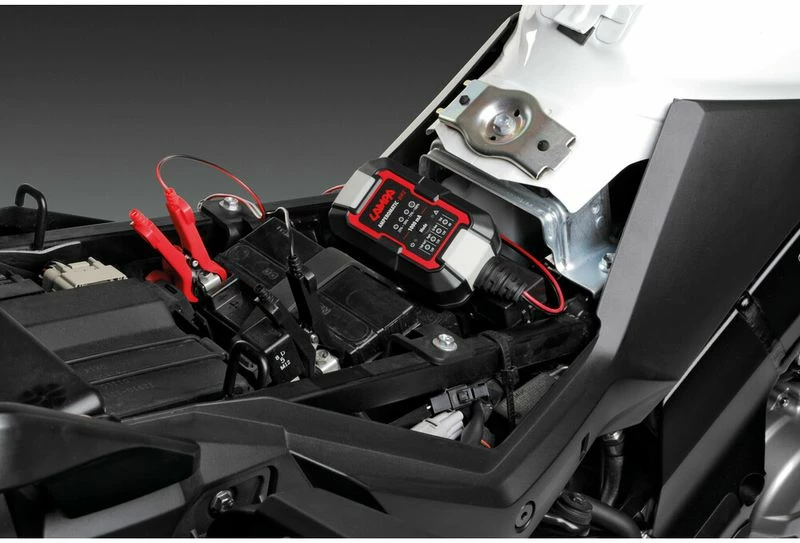 Mbushes Baterie 6-12v 1a