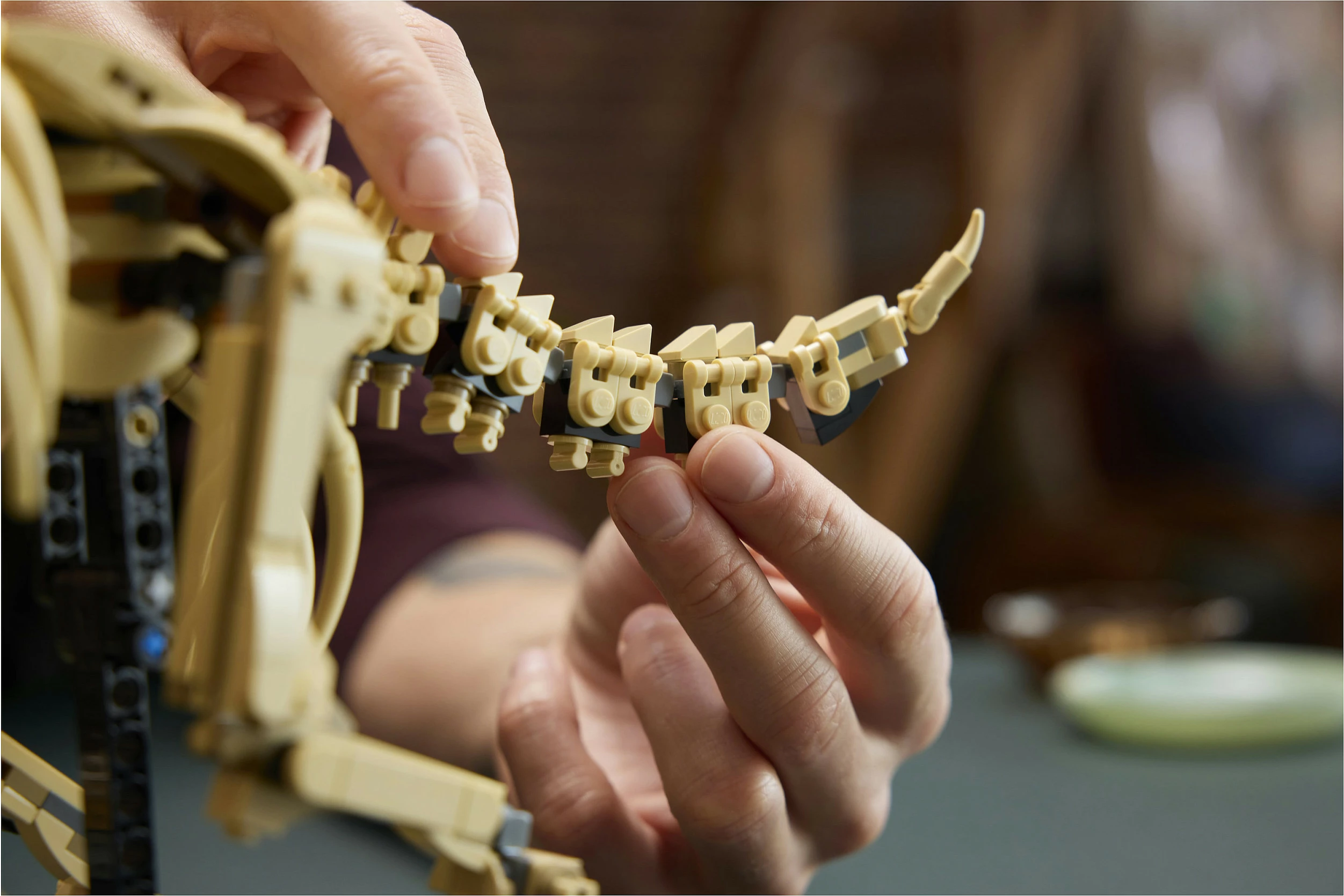 Set ndërtimi LEGO 77985 Dinosaur Fossil Triceratops, 1154 copë, 18+, multikolor