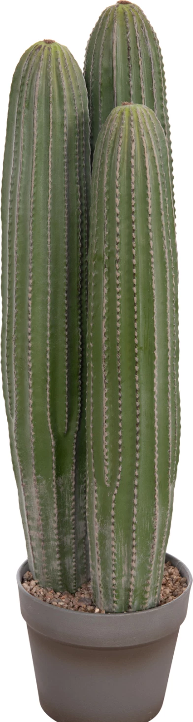 Bimë dekorative sintetike në vazo, lloj kaktusi, FH4743, 16x62cm