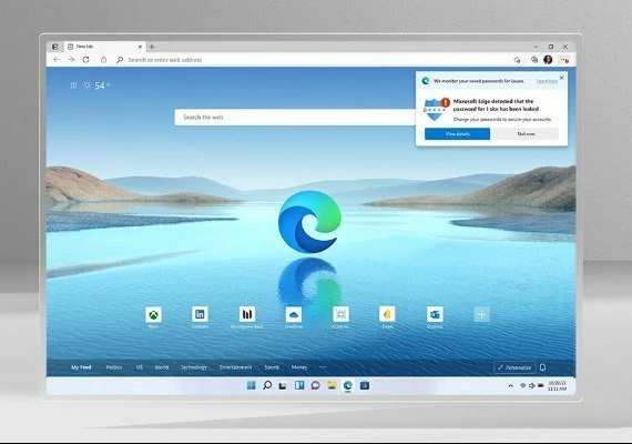 Windows 11 Home EN Global
