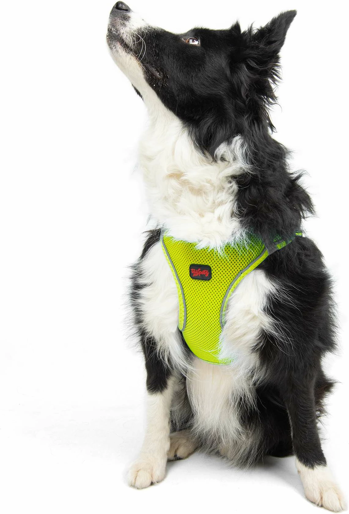 Parzmore për qen, Air-Mesh, ngjyrë Neo Lime