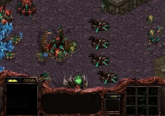 StarCraft Remastered Global