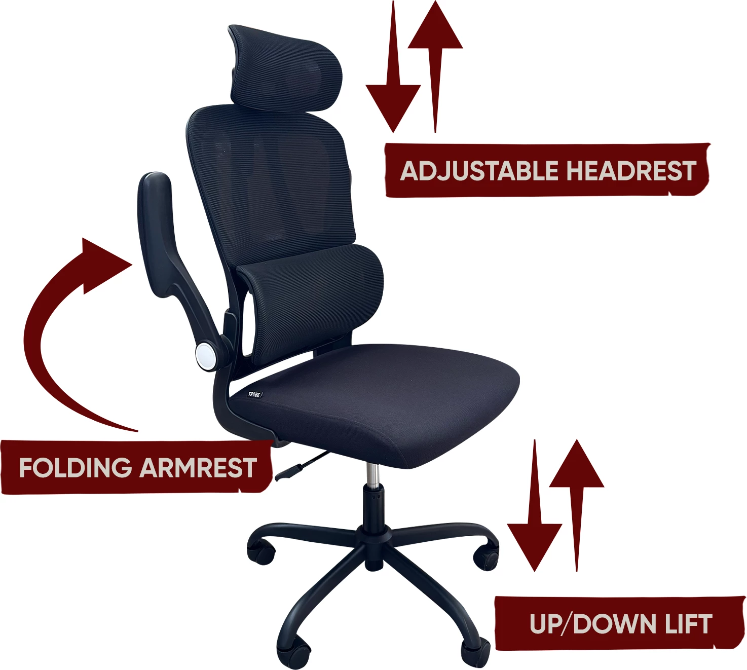 Karrige për zyre Tribe