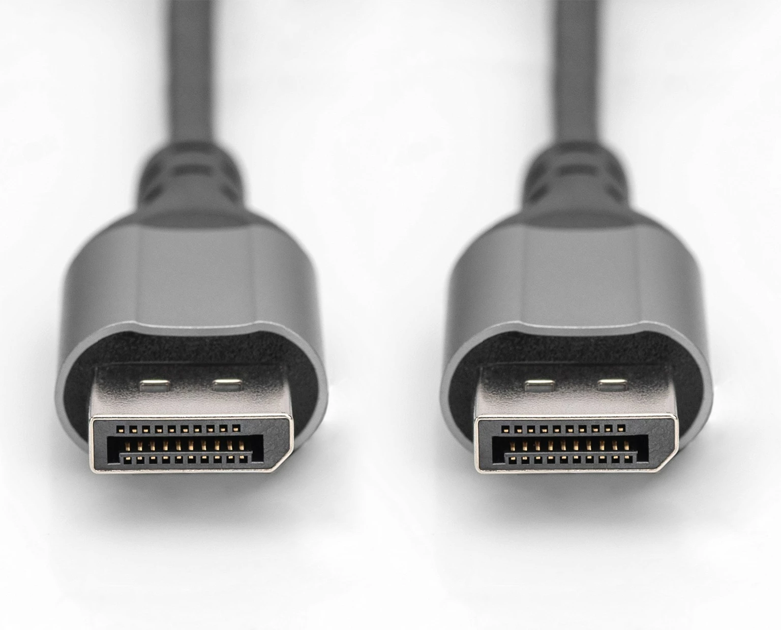 Kabllo DisplayPort Digitus 8K Version 1.4, 1m, i zi