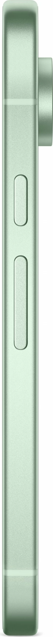 Celular Google Pixel 9, 12 GB RAM, 128 GB, Android 14, Wintergreen