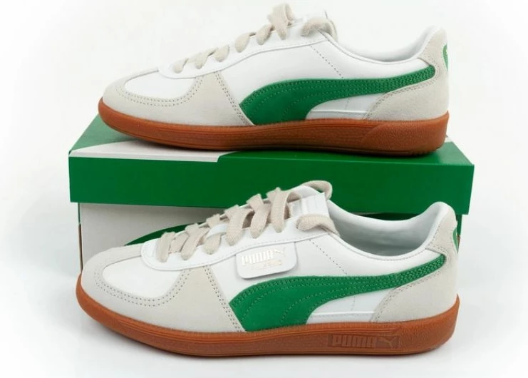 Atlete femra Puma, shumëngjyrëshe