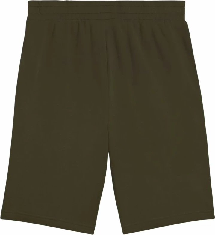 Shorce për meshkuj Puma, të gjelbra