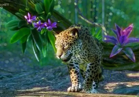 Planet Zoo - South America Pack Global