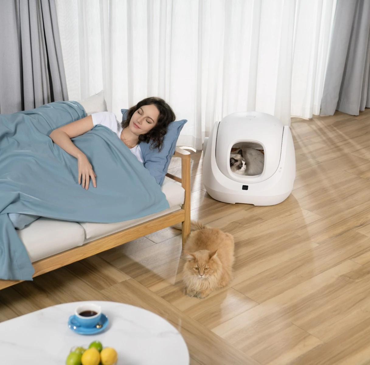 Kuti inteligjente vetëpastruese për rërë mace Catlink Baymax, WiFi, 7 L, e bardhë