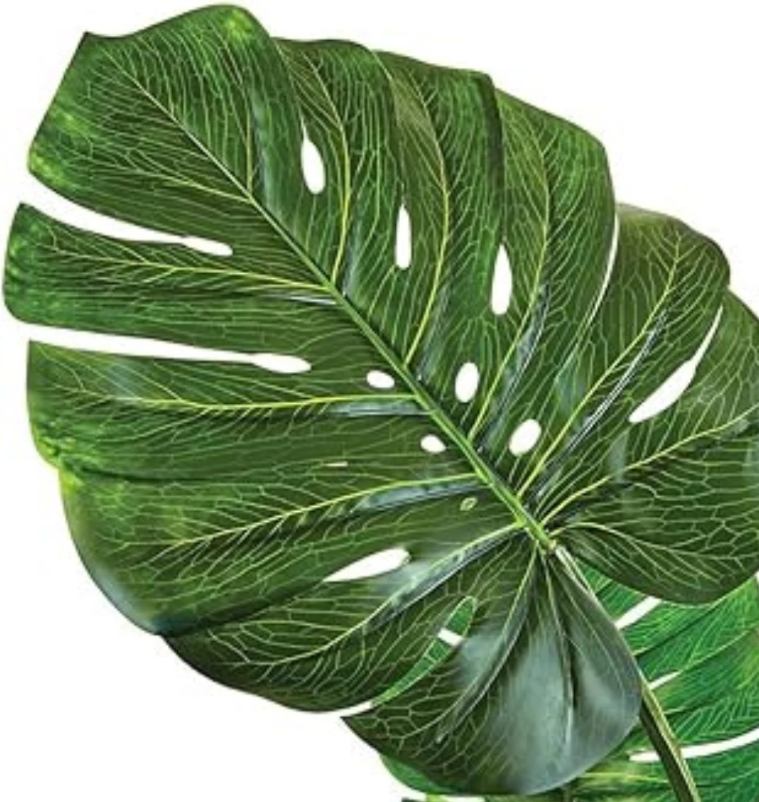 Bimë artificiale Monstera, 60 cm