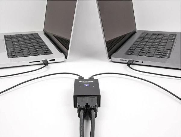Switch USB DeLOCK USB 2.0, 2 PC në 4 pajisje, 0.48 Gbit/s, metal, i zi